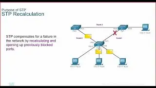 CCNA2 | Spanning tree protocol شرح CCNA2 | Spanning Tree Protocol شرح | STP Concepts Explained