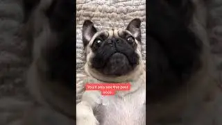 You’ll probably just scroll right by 😫 - Shorts