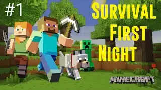 Episode 1 | Survival series day 1| First Night Minecraft Gameplay
