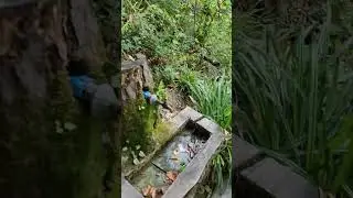 Erfelek Şelalesi Hızlandırılmış Çekim