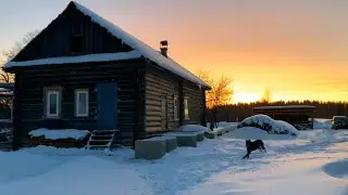 ТУТ КРУГОМ ЛЕС И НИКАКОЙ ЦИВИЛИЗАЦИИ! УЕХАЛИ ЖИТЬ В ГЛУХУЮ ДЕРЕВУШКУ!