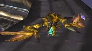 WOW - The Storm Peaks - Time-Lost Proto-Drake Kill