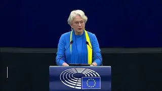 ‘Putin’s propaganda machine spent decades attempting to poison and divide our societies’ Kalniete