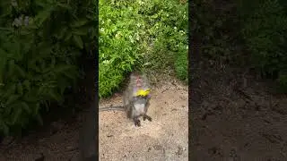 Подпишись и увидишь много интересного ✅ ставь ❤️ 