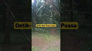 #reel #reels #reelsvideo #shortvideo