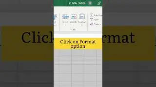 Autofit Row and Column in Excel VBA method 