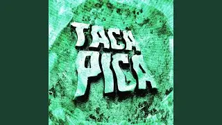 TACA PICA