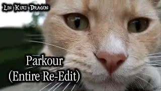Parkour Part 1 (Entire Re-Edit) ft My Dad, A Cat, and A Squirrel