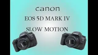CANON EOS 5D MARK IV SLOW MOTION..
