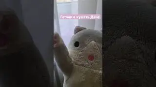 живой влог / готовим кушать Дане | #детям #влог