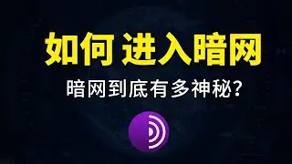 暗网里面有什么内容？如何进入暗网方法，洋葱浏览器设置网桥教程 | tor browser how to use dark web | 科技分享