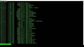 Linux Fundamentals 1.2 - ls and less commands