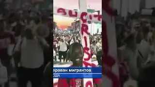 #мигранты