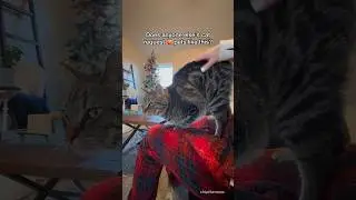 Does YOUR cat do this weird thing?