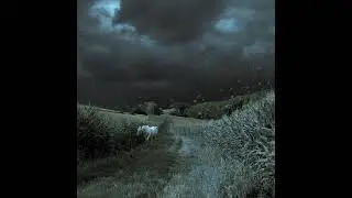 [FREE] Dark Experimental + Ambient Cloud Rap / Trap Type Beat (Prod.Nos1n)
