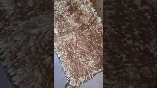 КОТЕНОК, КАК ПТИЧКА