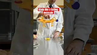 Emulsifiers are like CatDog molecules