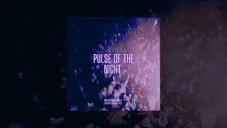Pulse of the night (original mix)