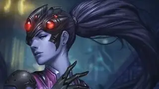 PRO KILL ON WIDOWMAKER (MLG)