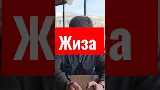 жиза 
