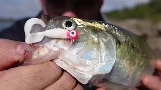 Finally Found Them (Hybrids and SkipJack) Ohio River dams