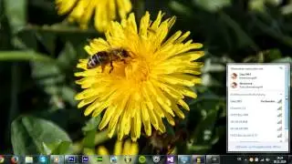 WLAN Passwort herausfinden in Windows [Tutorial] [HD]
