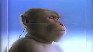 вставай