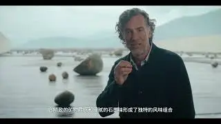 VIK 2021: Chinese video
