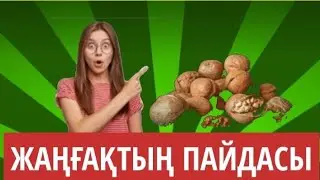 Жаңғақтың пайдасы