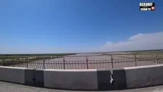 Амударемизда лойли сув купайди 14.06.2021