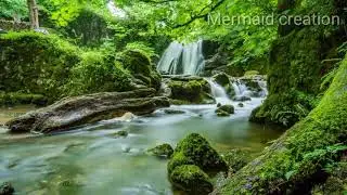 🙇‍♂Relaxing music 🎶 | waterfall | Mermaid creation