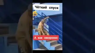 Хороший спуск #юмор #смешноевидео
