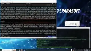 Insure++ Valgrind OpenSSL Punycode Vulnerability