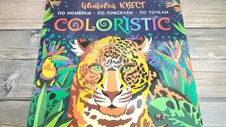 ЦВЕТОВОЙ КВЕСТ COLORISTIC по номерам точкам пикселям 🔵 ОБЗОР РАСКРАСКИ АНТИСТРЕСС ЛИСТАЕМ ВМЕСТЕ