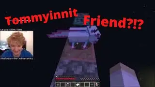 Tommyinnit Randomized Skblock Wilbur Style!!!