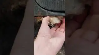 Toyota wish порог из пены 