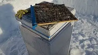 Продолжаю освобождение пасеки от снега