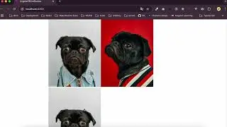 Angular 19 ESLint Prettier Husky Docker Boilerplate