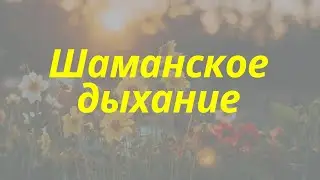 Шаманское дыхание. Елена Газизова
