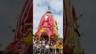 Jay Jagannath #rathyatra #jayjagannath #rathayatra2024 #odia #odisha #rathayatralive