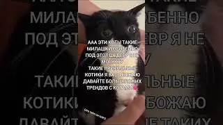 17 мая 2024 г.