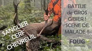 SANGLIER CERF CHEVREUIL - CHASSE EN BATTUE