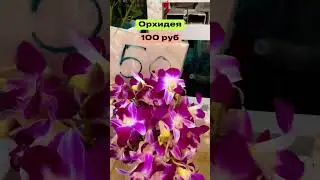 Сколько стоят цветы в Тайланде 