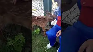 Ты не ты, когда голоден! #животные #зоопарк #гродно