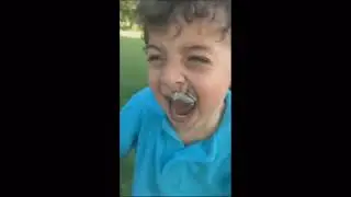 Memes V5