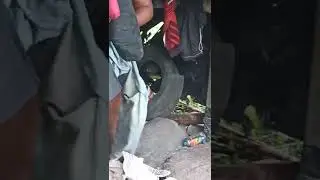 VIRAL KETAUAN DI GUBUK