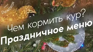 Чем кормить кур? 🎄 Праздничное меню