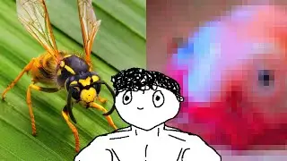 animal species i wish were extinct