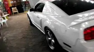 Присадка для двигателя Ford Mustang