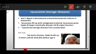 The fundamental unit of life class 9 full explanation